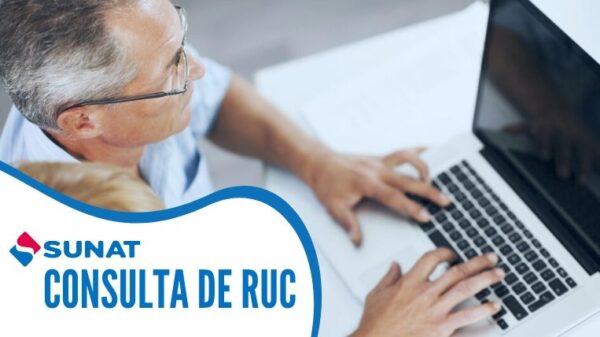 Alternativas Si no Tienes el RUC