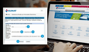 Emitir Recibo por Honorarios Electrónicos