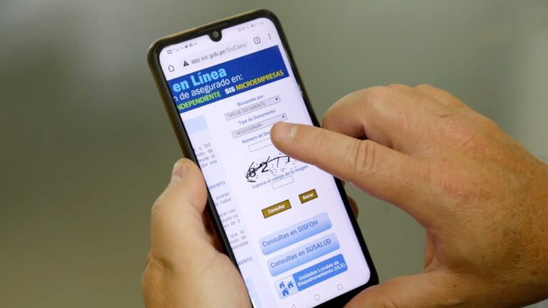 Consultar Seguro Integral de Salud