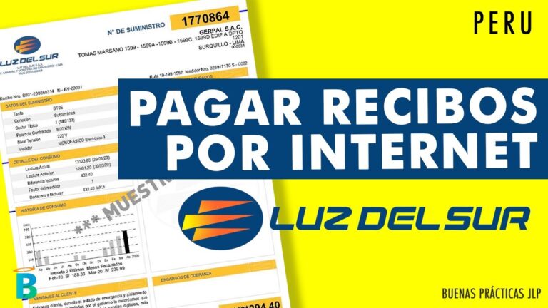pagar recibo de luz de luz del sur