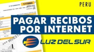 pagar recibo de luz de luz del sur