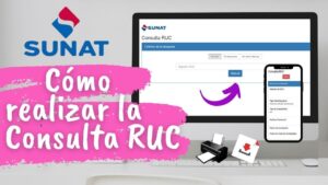 Sunat Operaciones en Línea Consultar RUC