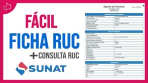 Ver el RUC de una Empresa