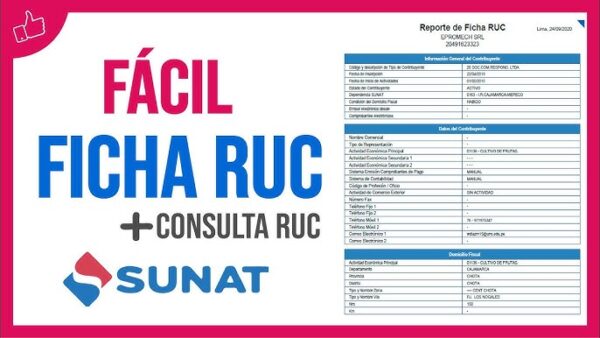 Ver el RUC de una Empresa