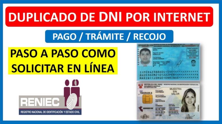 duplicado dni en linea